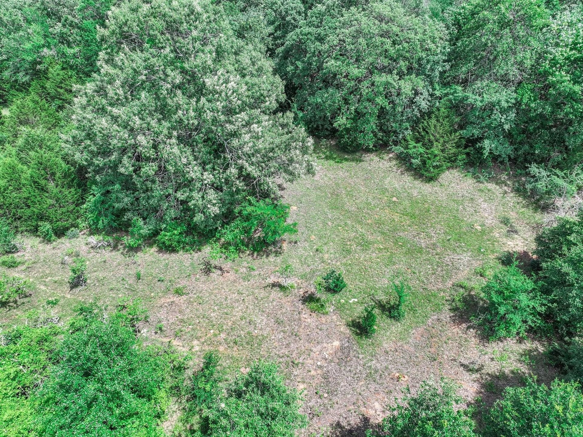 22 acres in Van Zandt County - photo 11