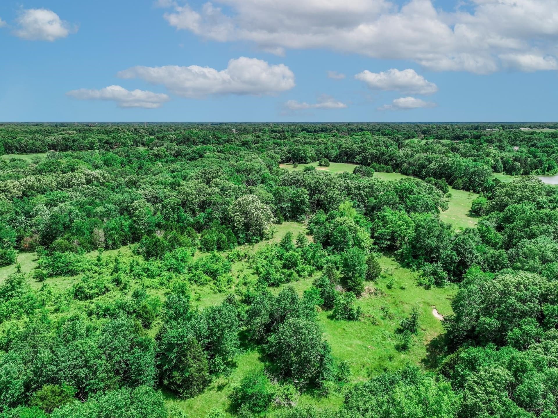 22 acres in Van Zandt County - photo 9