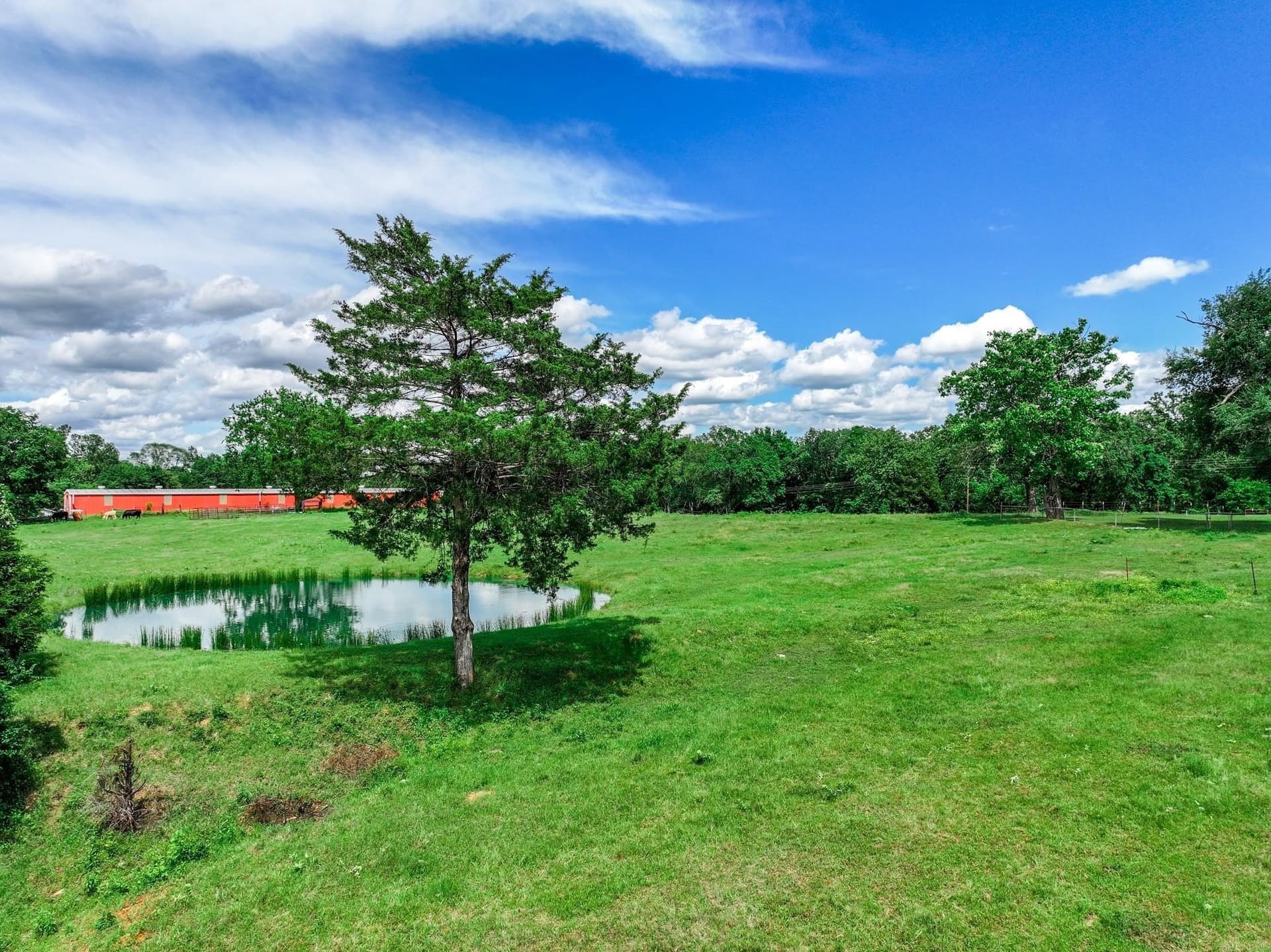 22 acres in Van Zandt County - photo 26