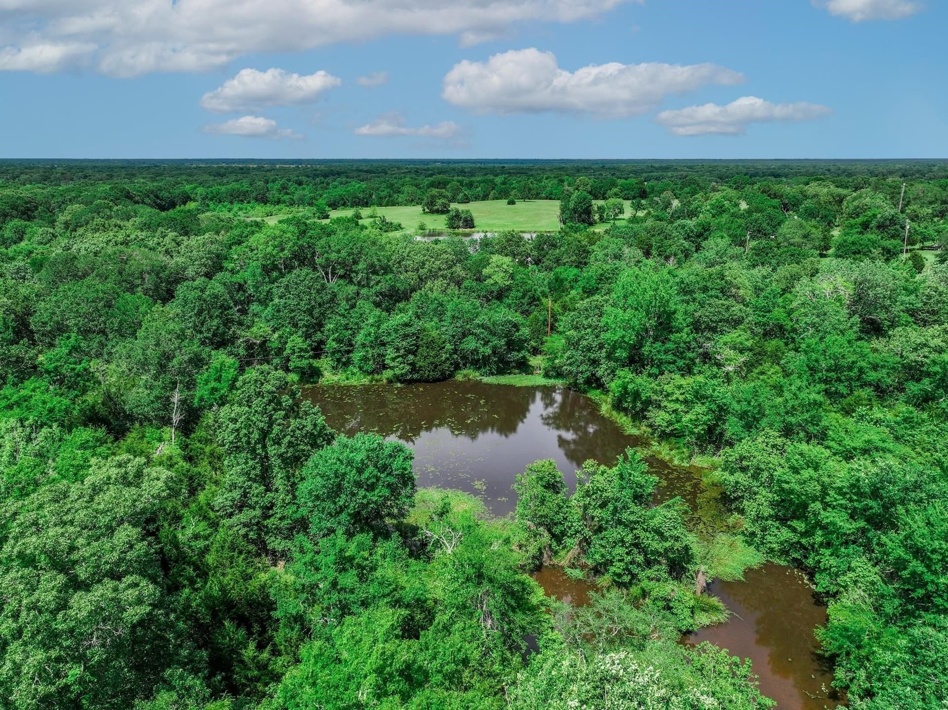 22 acres in Van Zandt County - photo 16