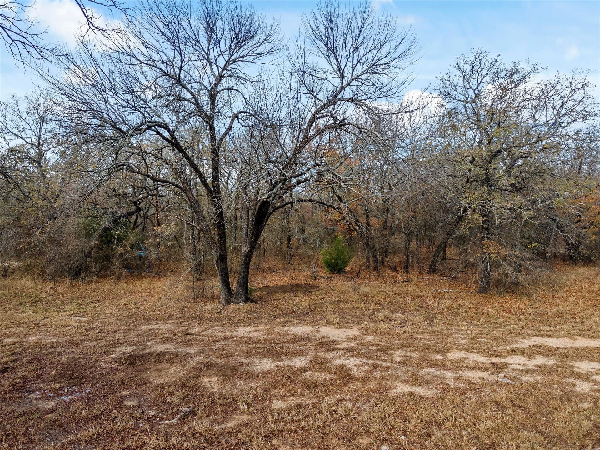 23.83 acres in Wise County - photo 31