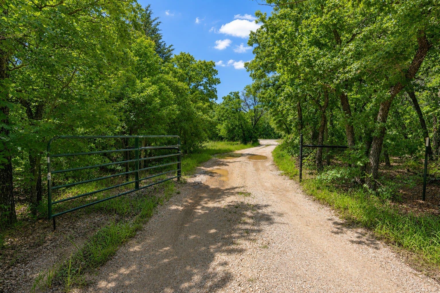 23.83 acres in Wise County - photo 8