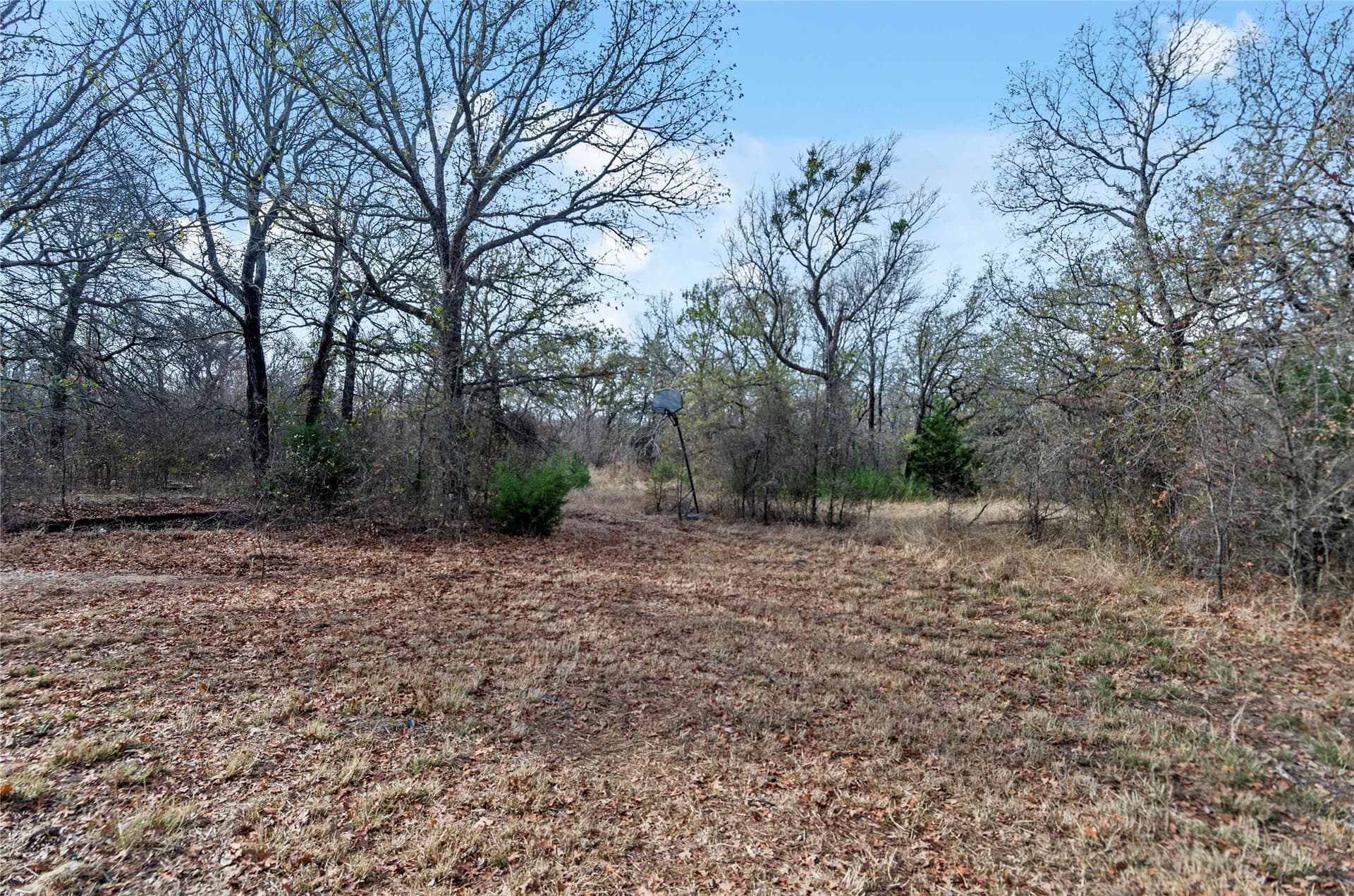 23.83 acres in Wise County - photo 14