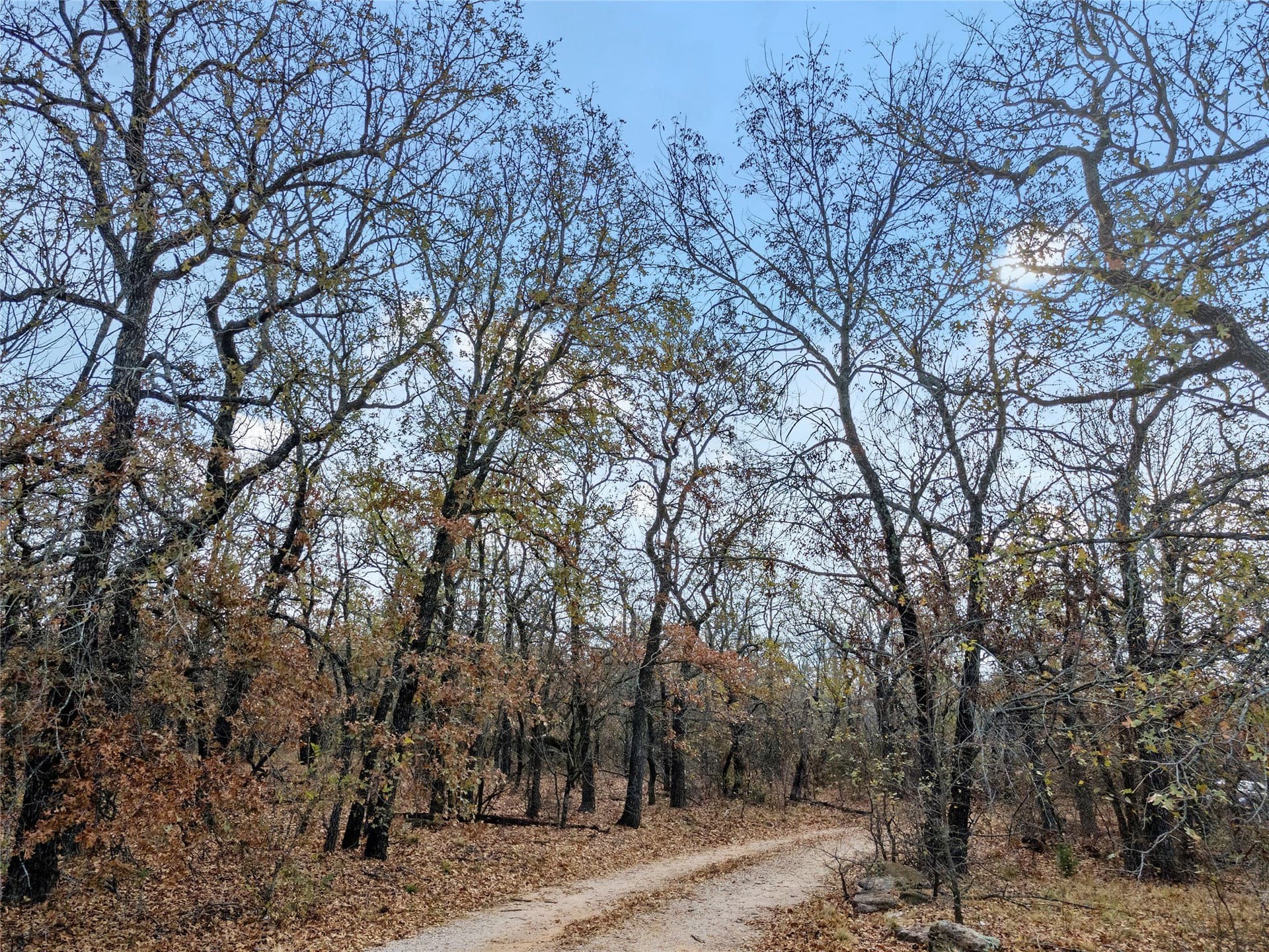 23.83 acres in Wise County - photo 29