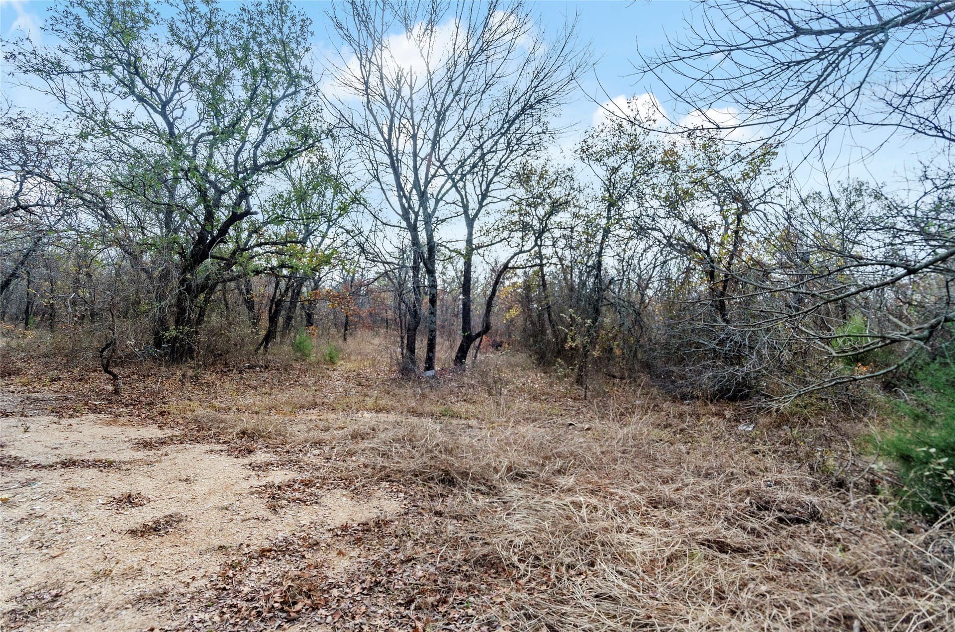 23.83 acres in Wise County - photo 18