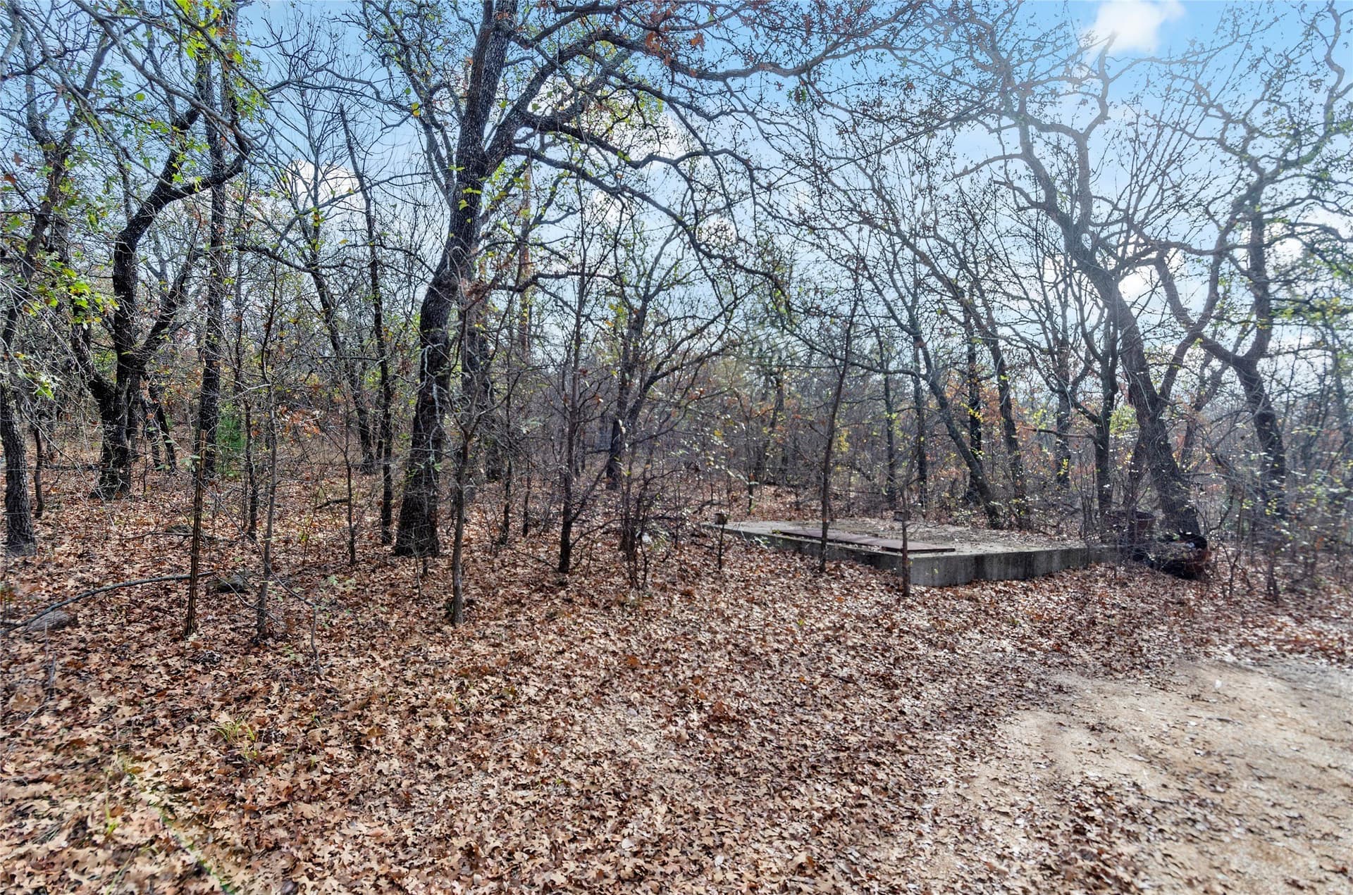 23.83 acres in Wise County - photo 15