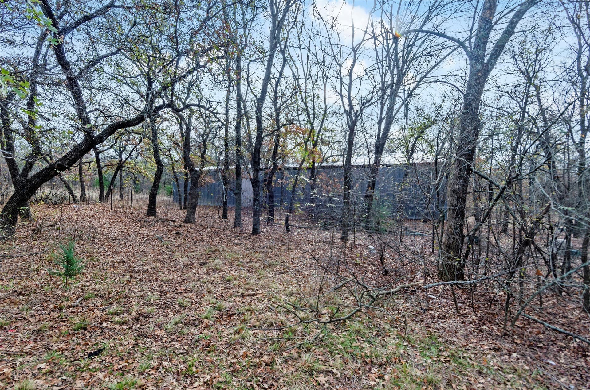 23.83 acres in Wise County - photo 20