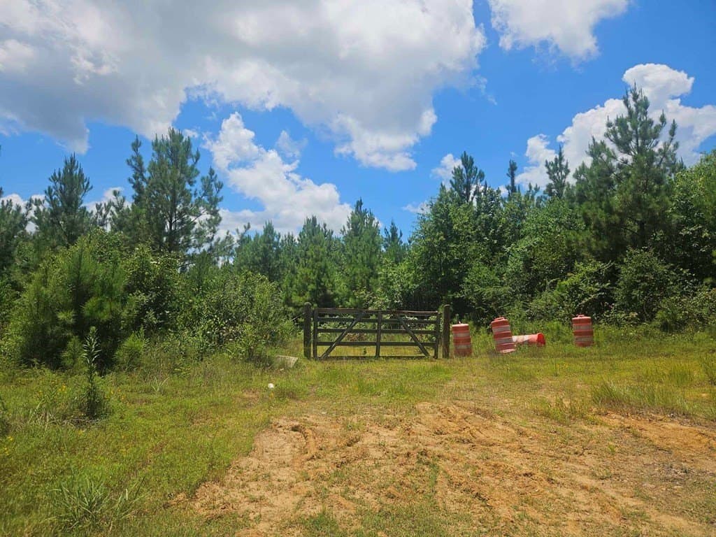 24.43 acres in Texas County featured view