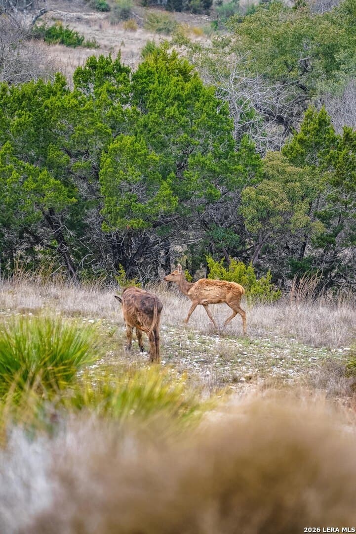5 acres in Bandera County - photo 11