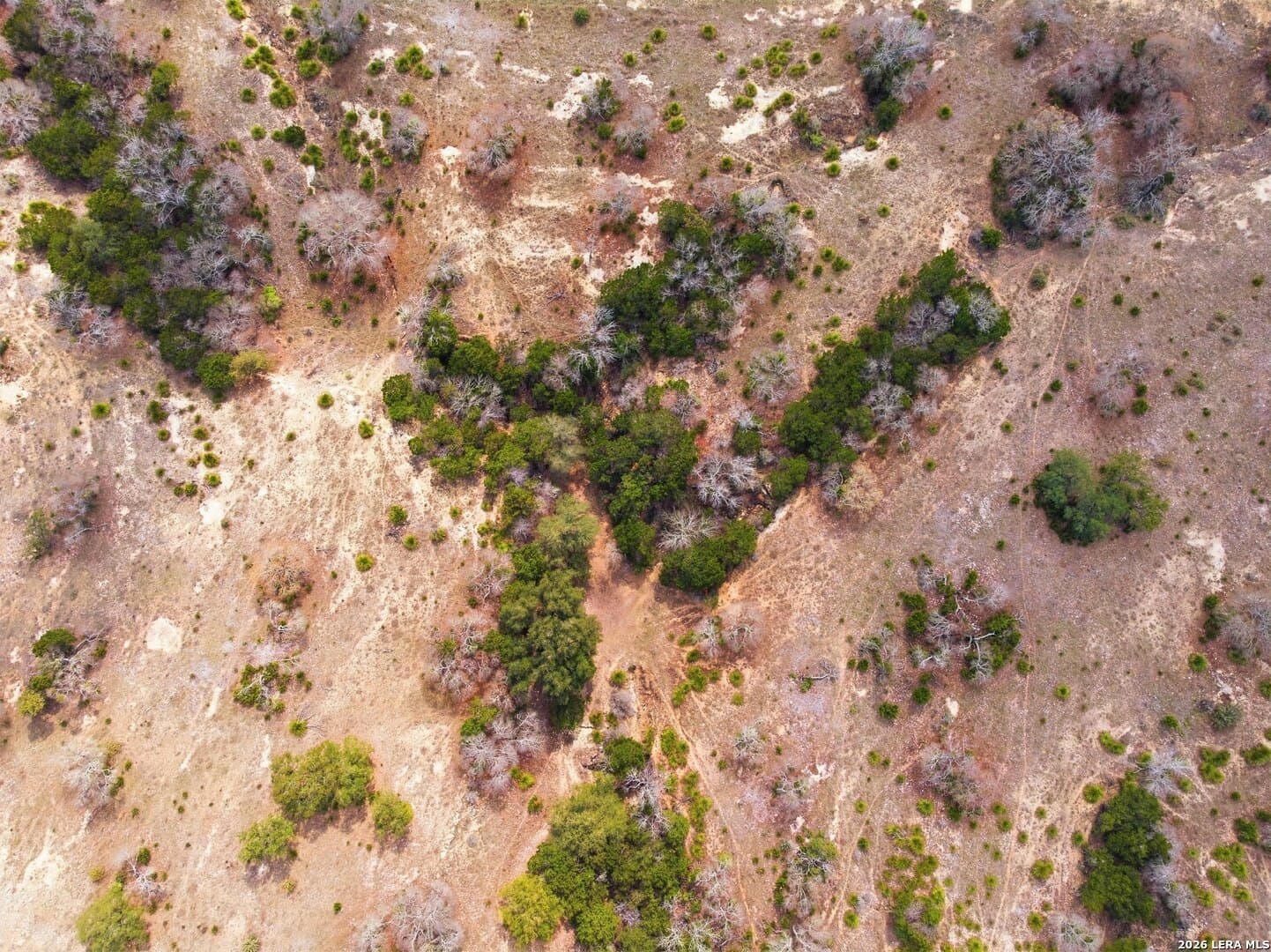 5 acres in Bandera County - photo 6