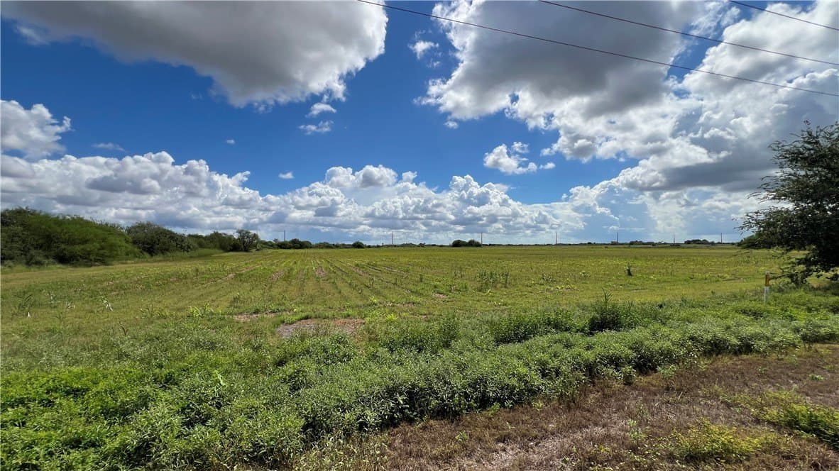21.57 acres in Kleberg County - photo 7
