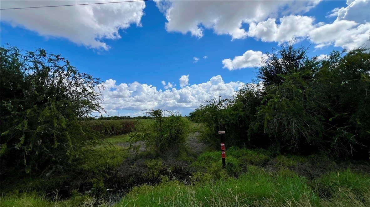 21.57 acres in Kleberg County - photo 10