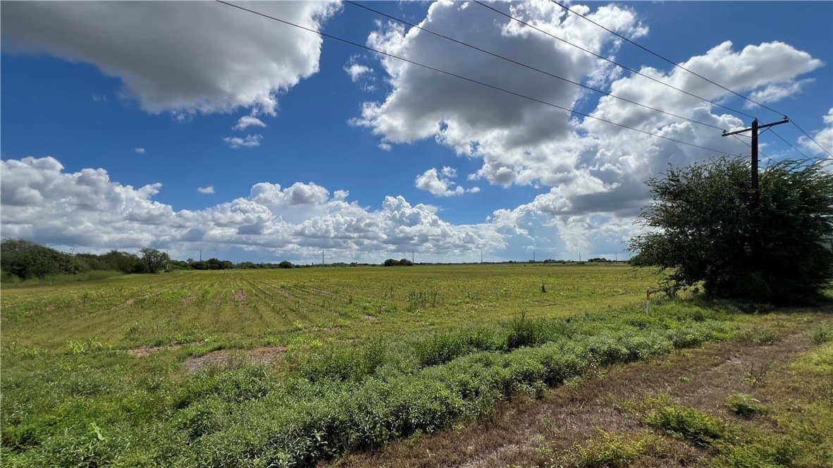 21.57 acres in Kleberg County - photo 6