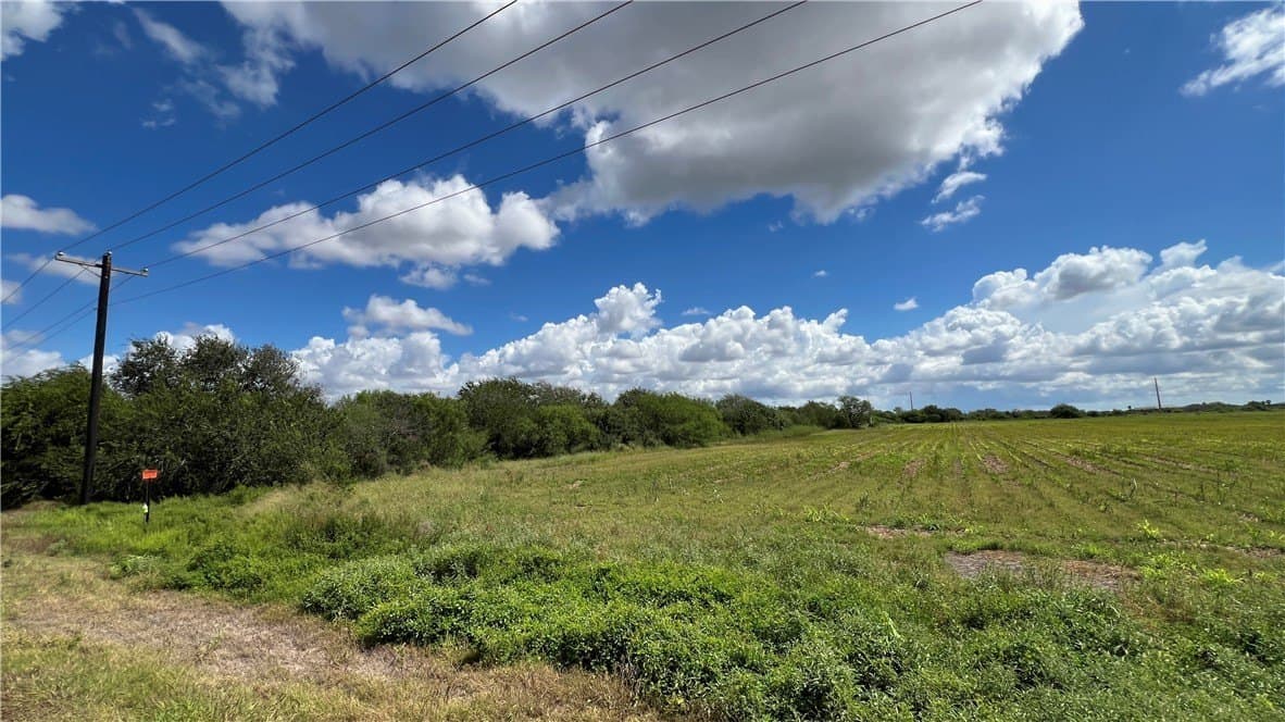 21.57 acres in Kleberg County - photo 8