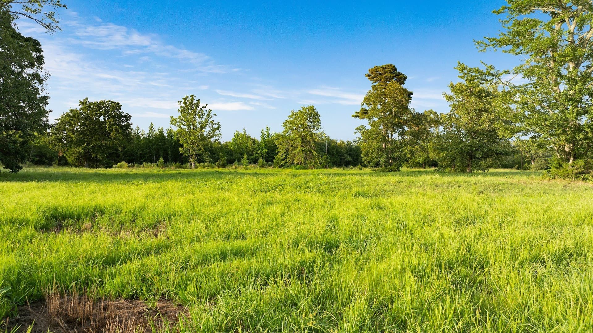 24.98 acres in Lamar County - photo 15