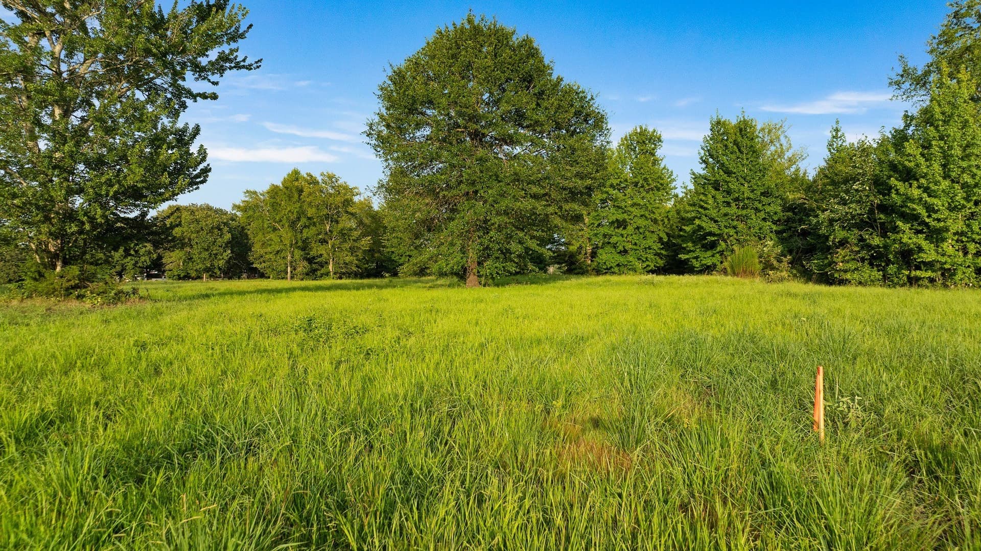 24.98 acres in Lamar County - photo 14