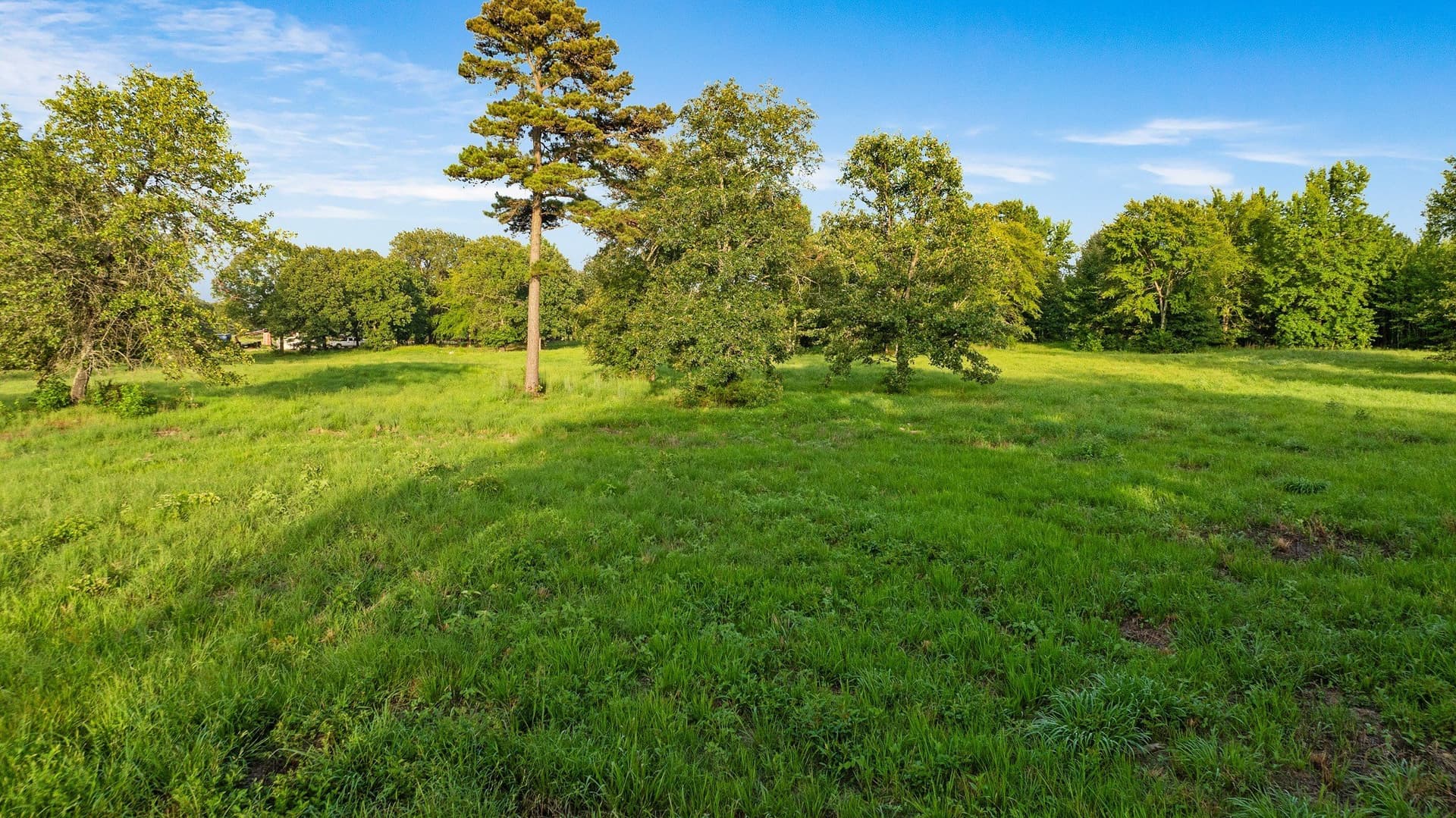 24.98 acres in Lamar County - photo 13