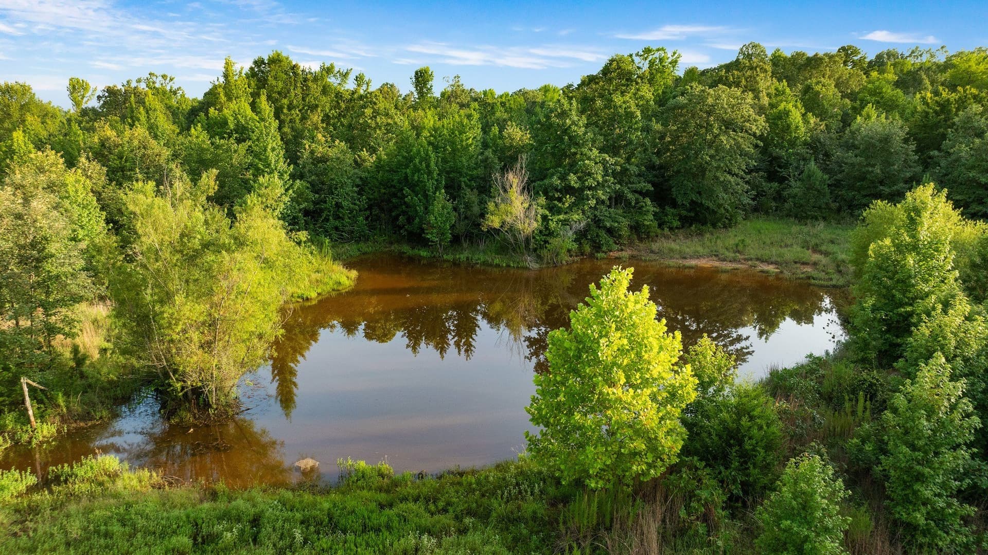 24.98 acres in Lamar County - photo 11