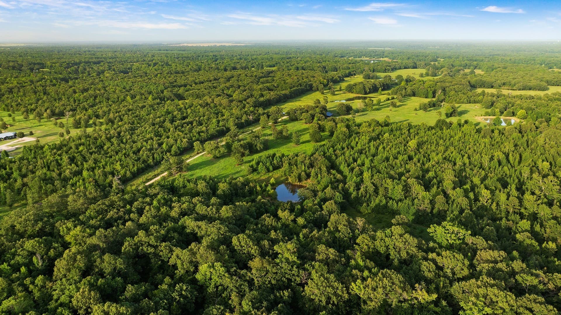 24.98 acres in Lamar County - photo 9