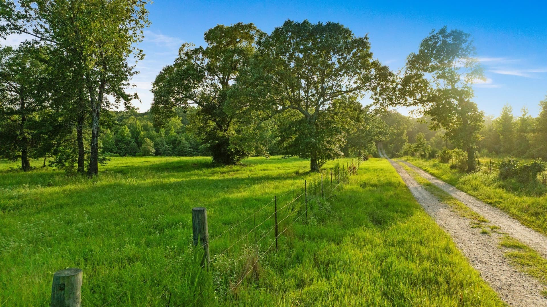 24.98 acres in Lamar County - photo 19