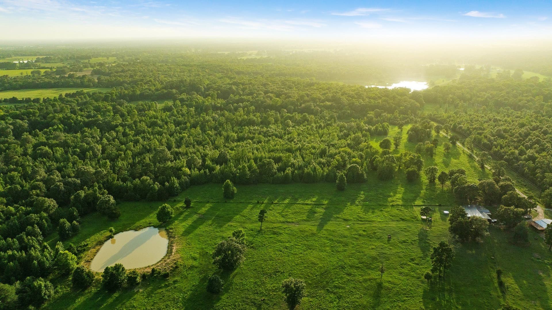 24.98 acres in Lamar County - photo 17