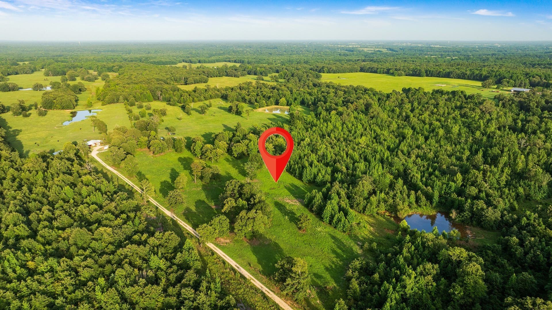 24.98 acres in Lamar County - photo 7