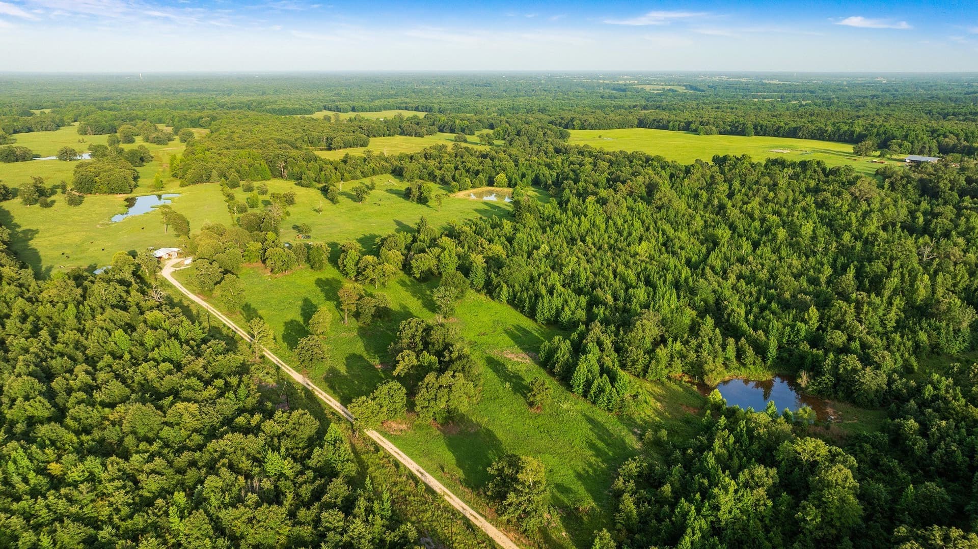 24.98 acres in Lamar County - photo 6