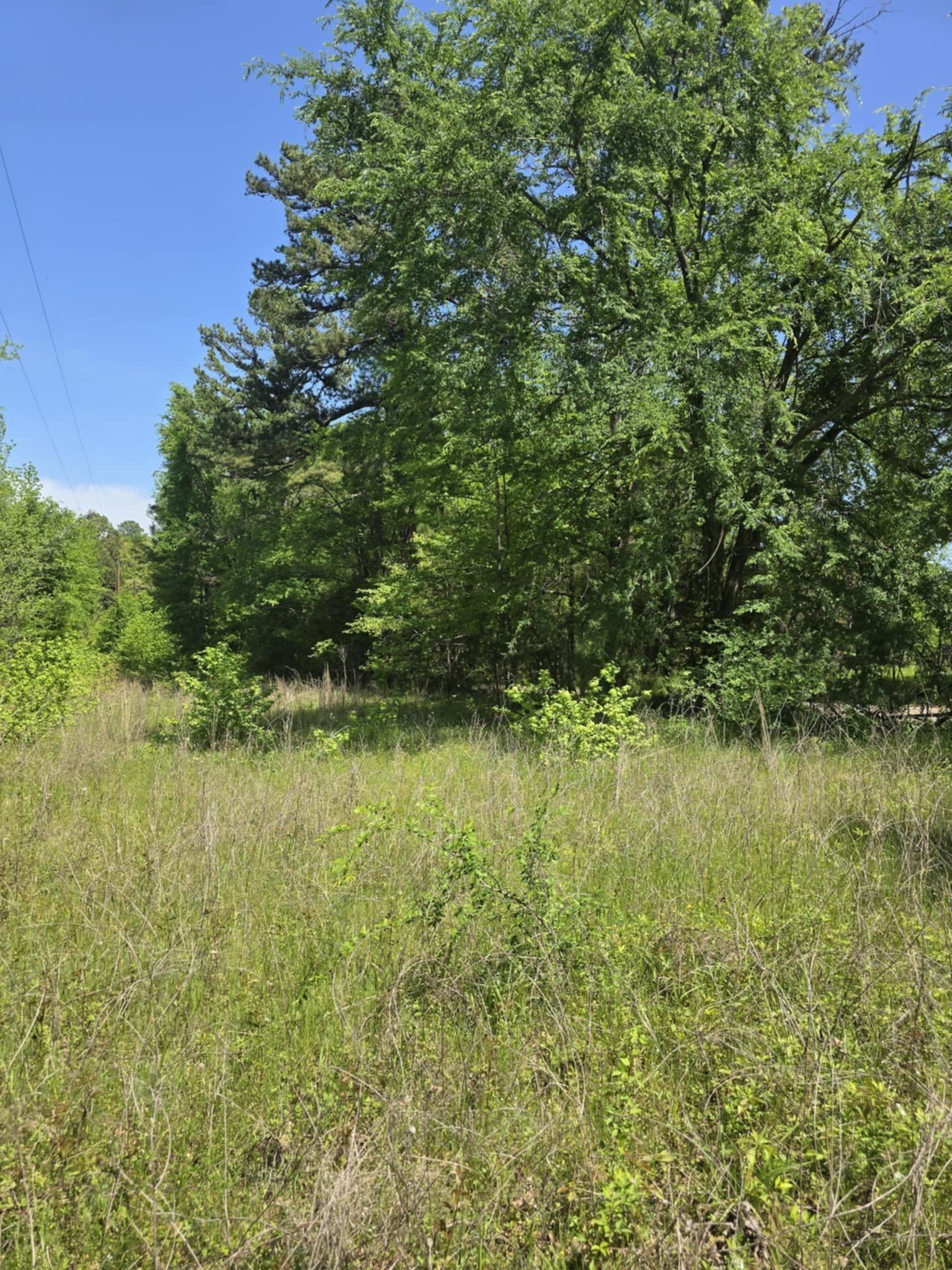 5 acres in Smith County - photo 7