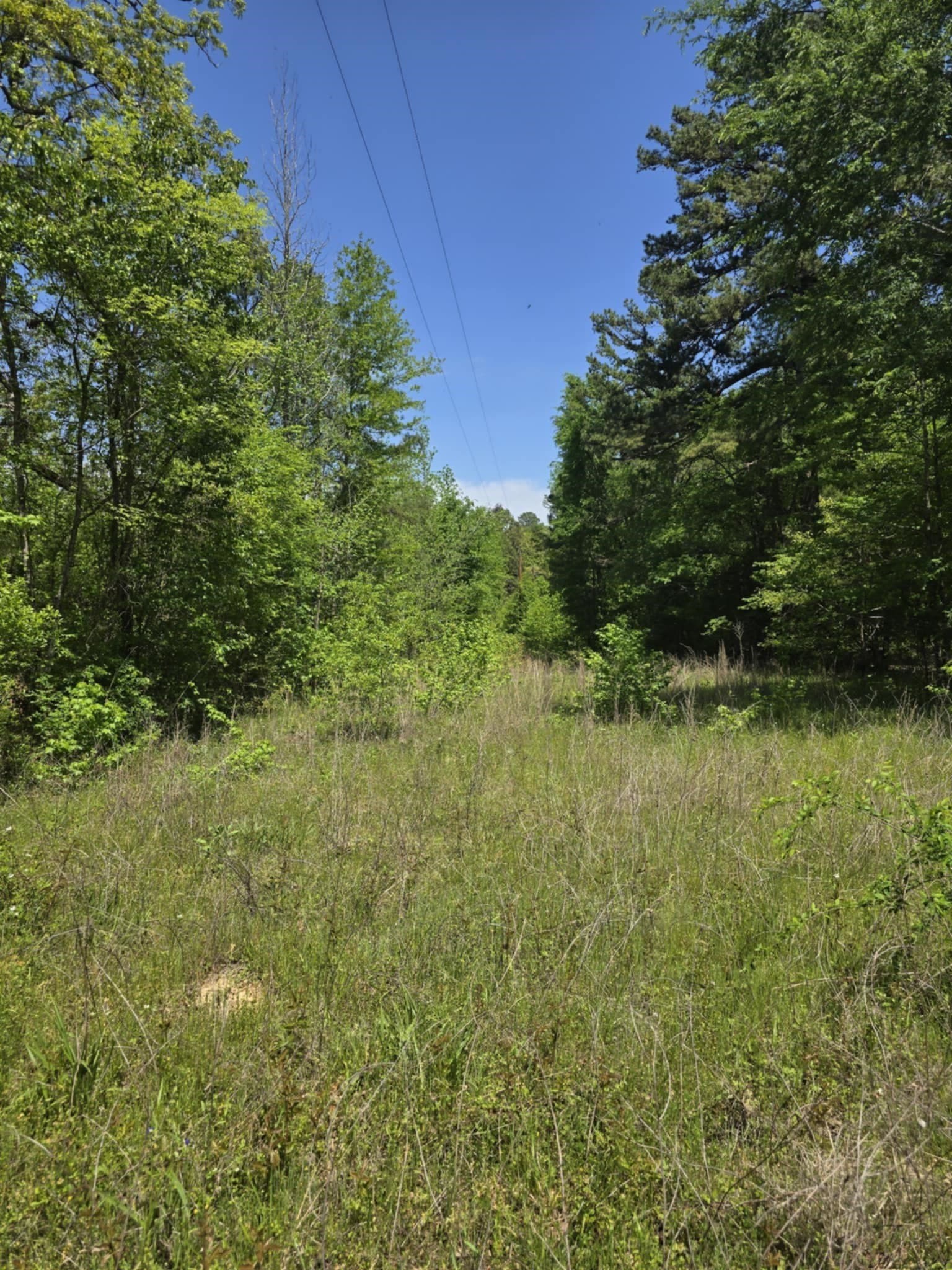5 acres in Smith County - photo 10