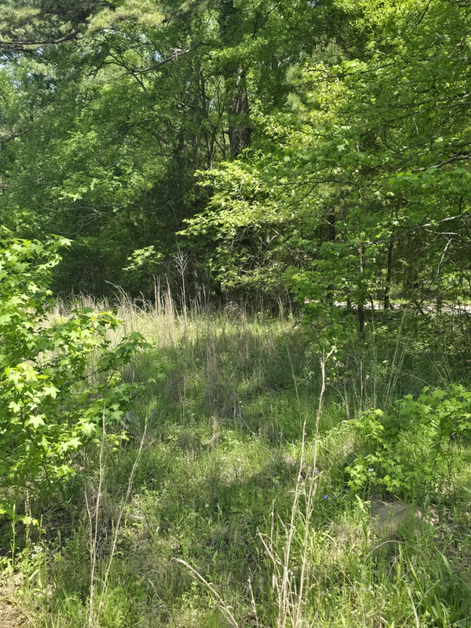 5 acres in Smith County - photo 11