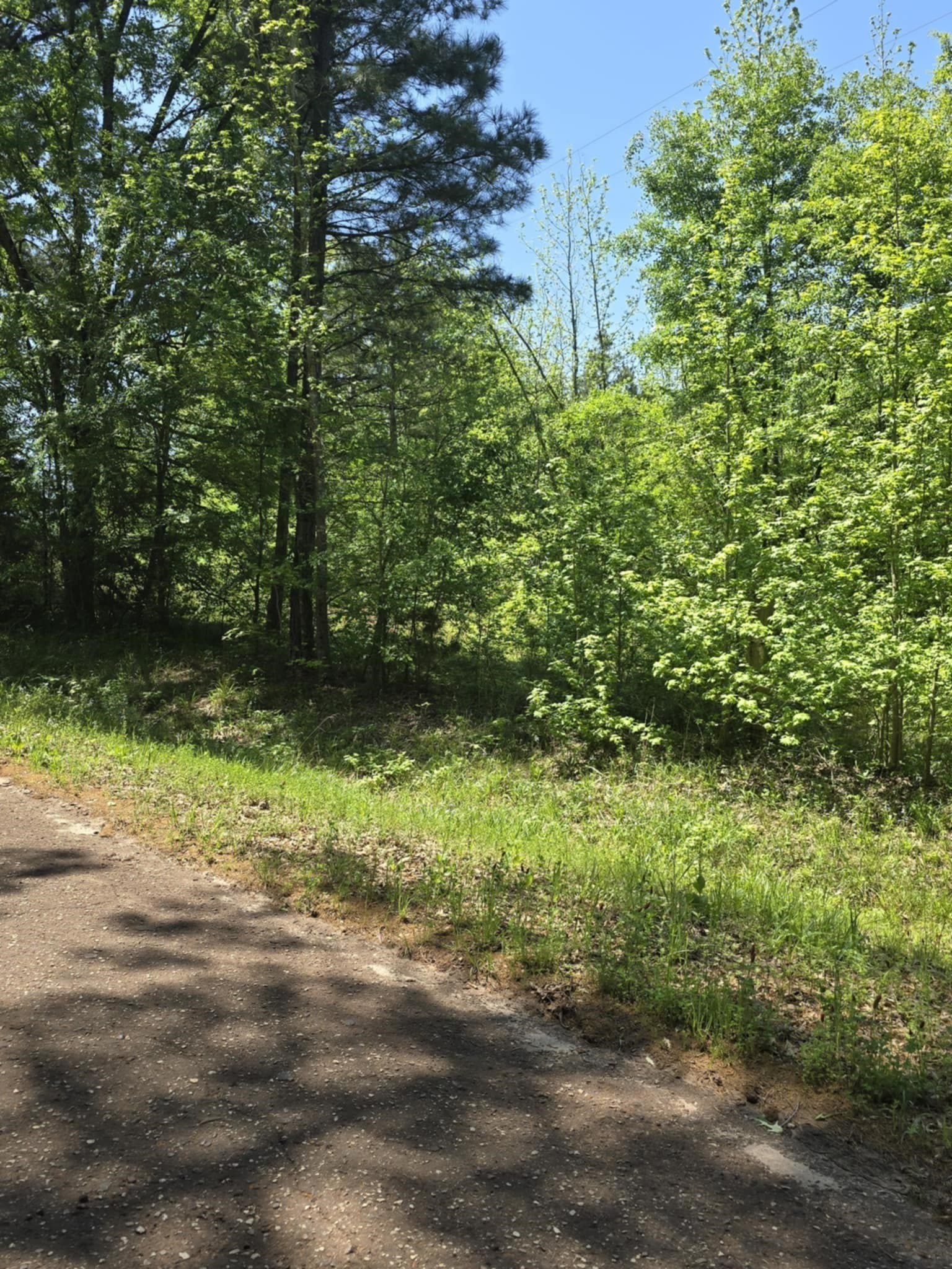 5 acres in Smith County - photo 3