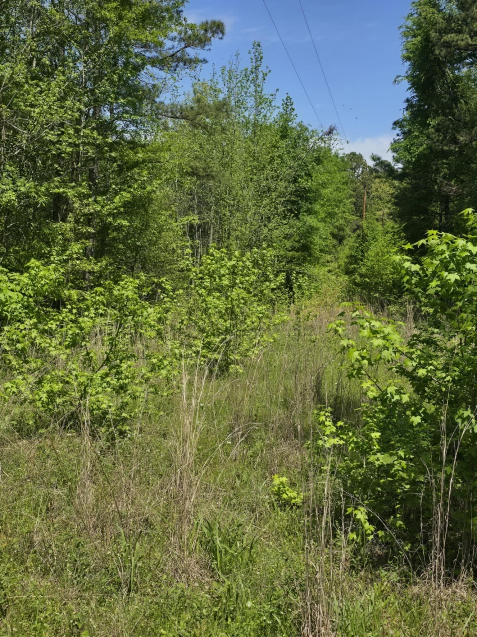 5 acres in Smith County