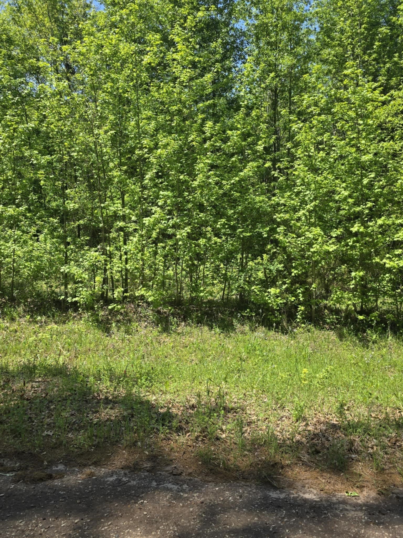 5 acres in Smith County - photo 9