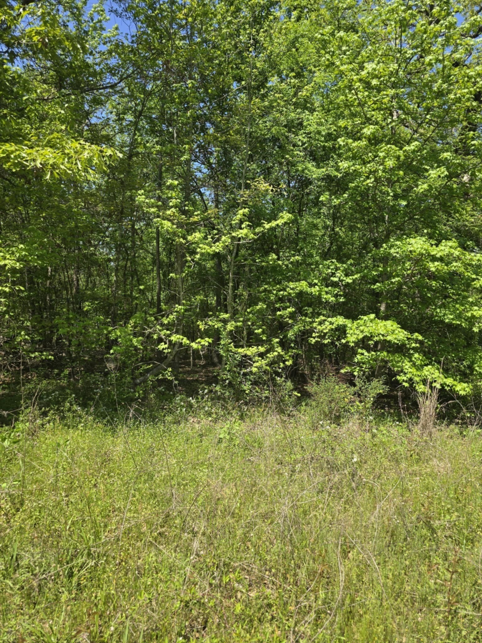 5 acres in Smith County - photo 8