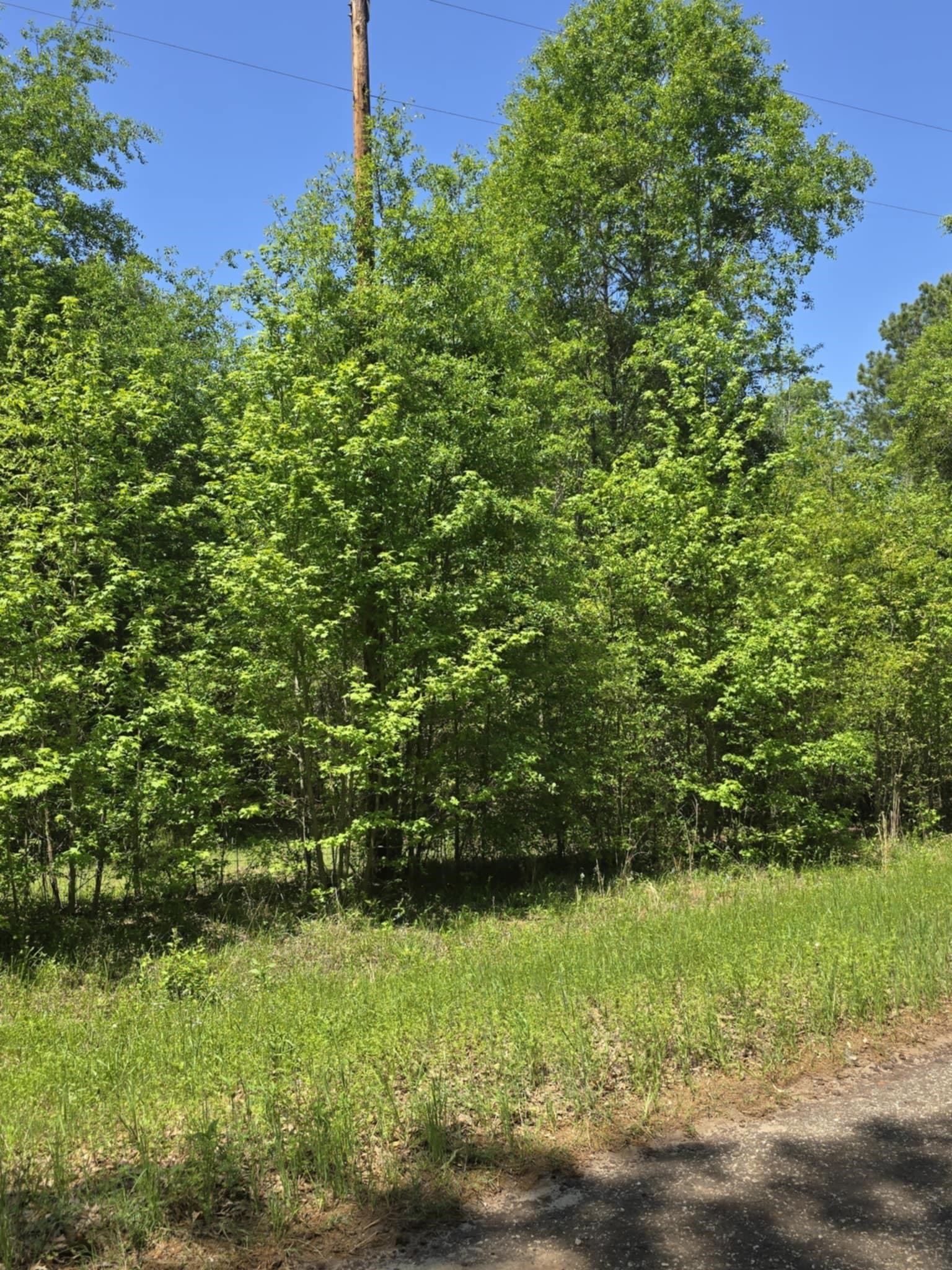 5 acres in Smith County - photo 5
