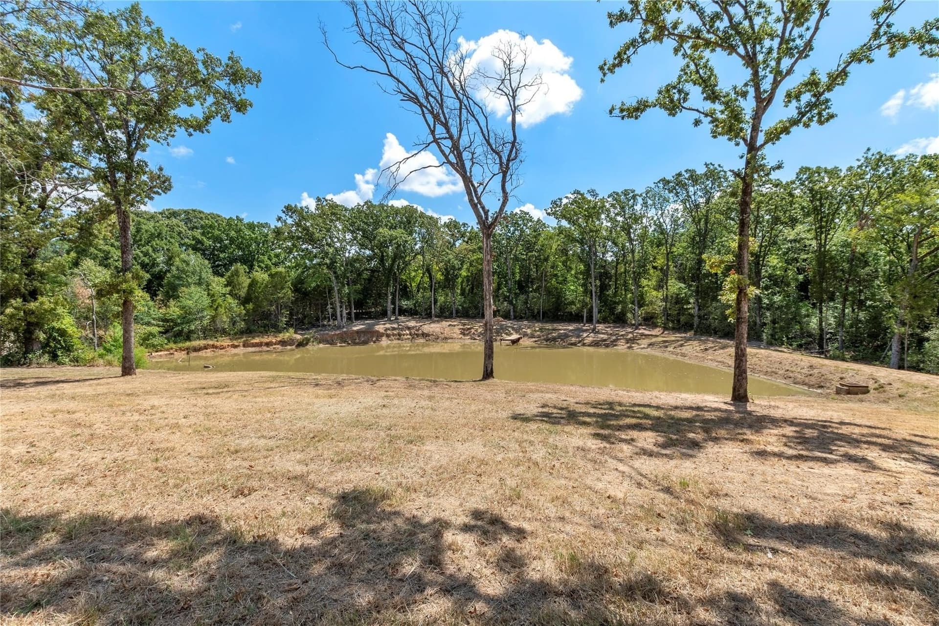 2.5 acres in Henderson County - photo 9