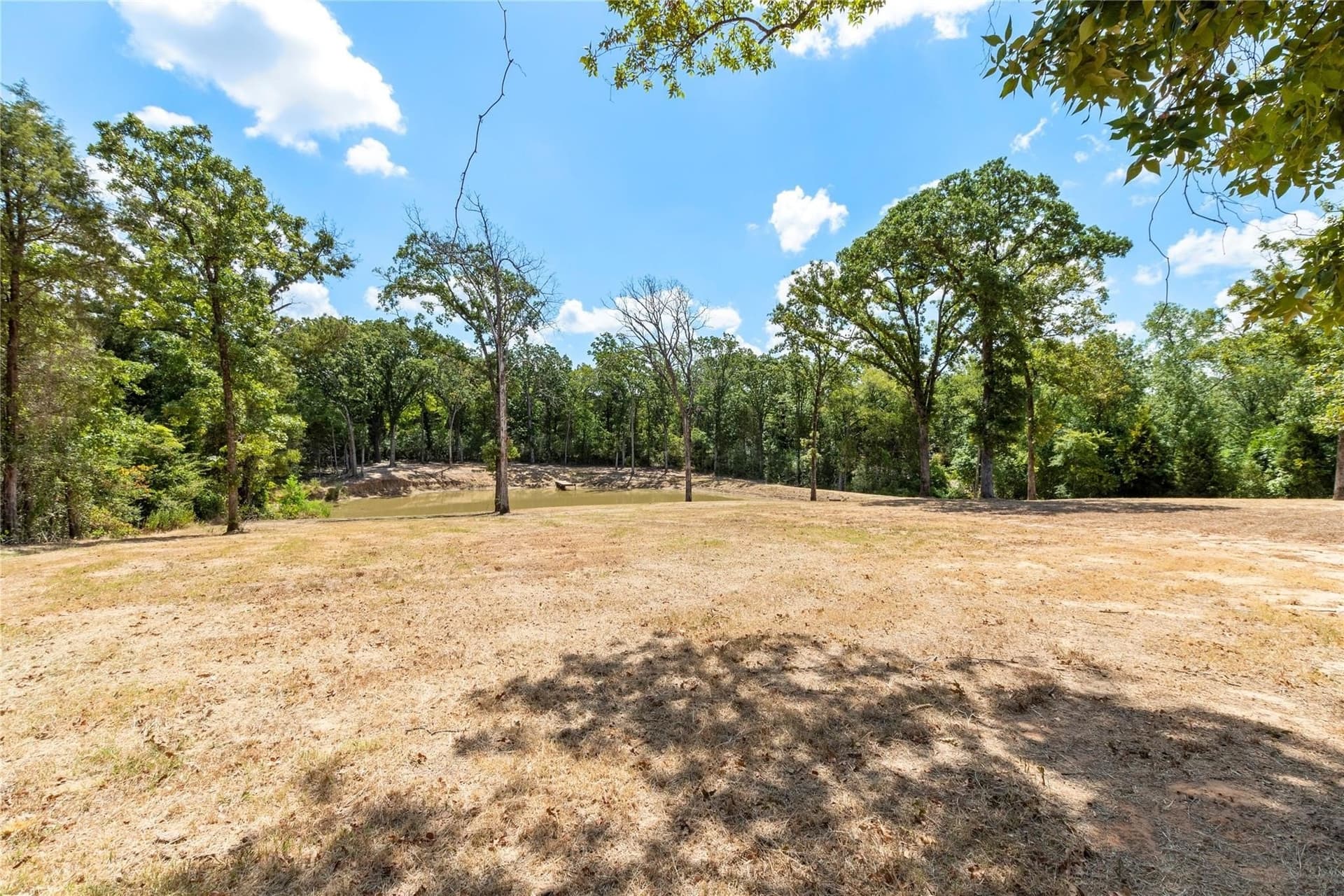 2.5 acres in Henderson County - photo 6