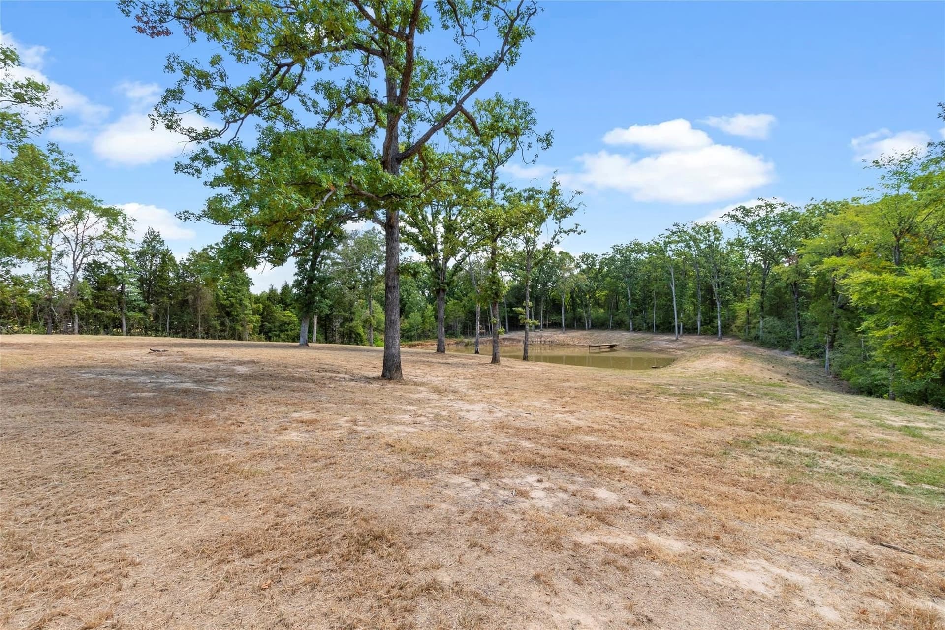 2.5 acres in Henderson County - photo 8