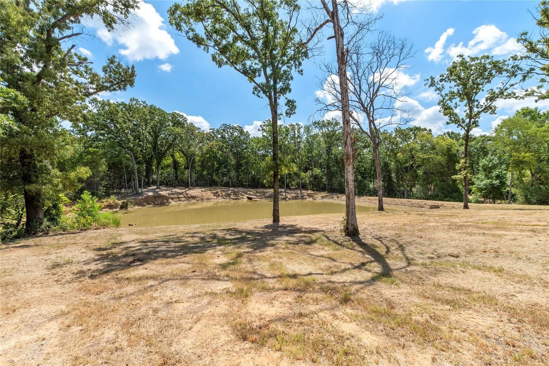 2.5 acres in Henderson County - photo 10