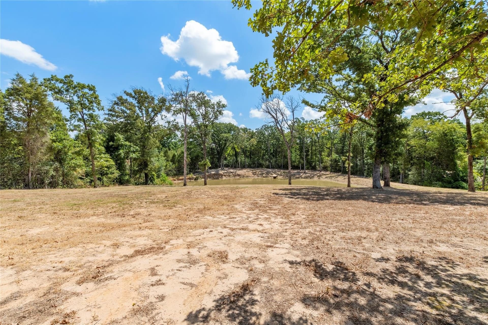 2.5 acres in Henderson County - photo 7