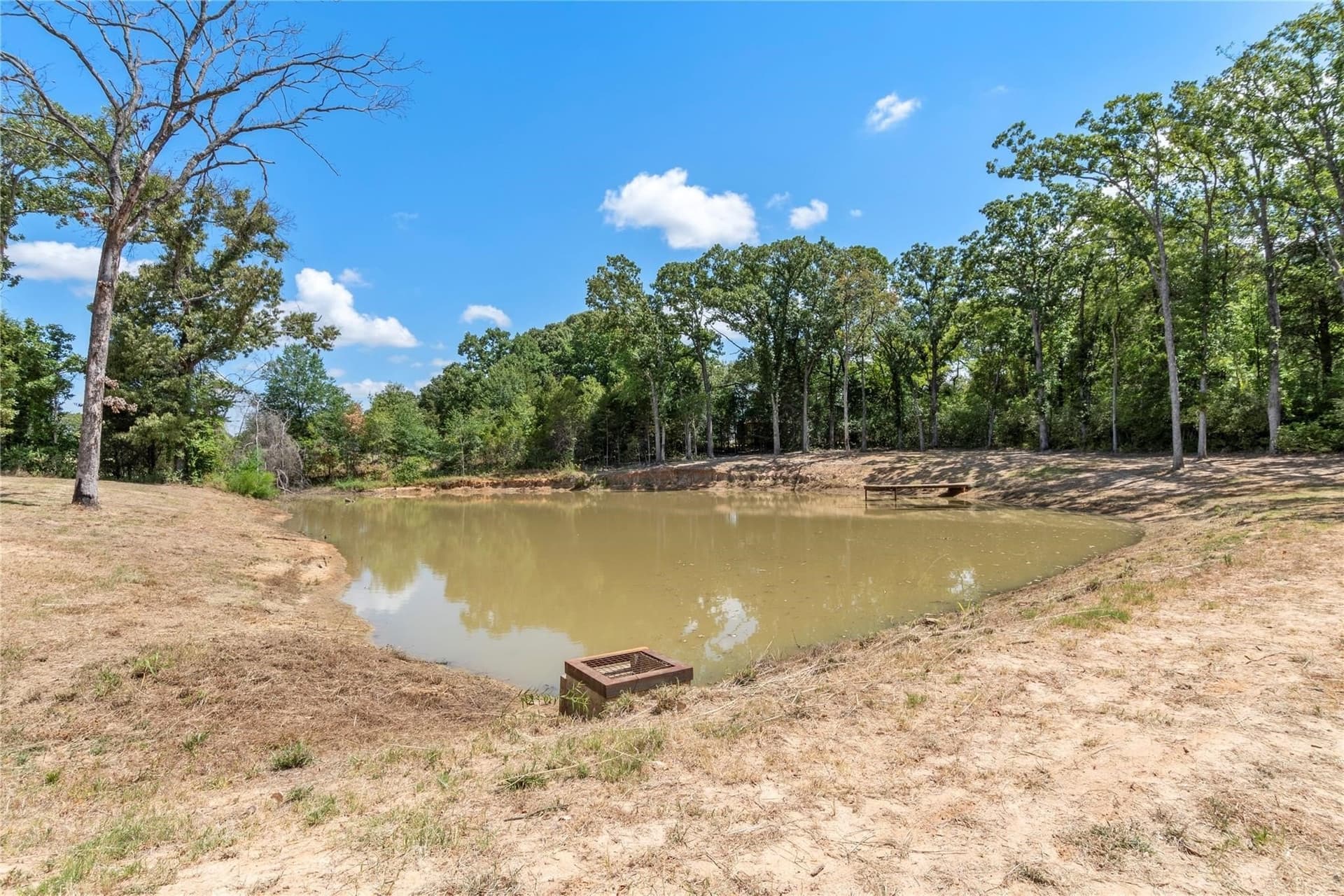 2.5 acres in Henderson County - photo 12