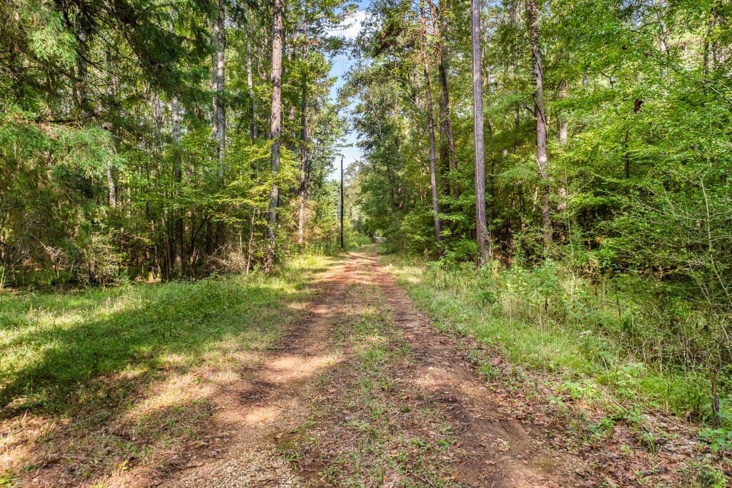 14 acres in HOUSTON County - photo 5