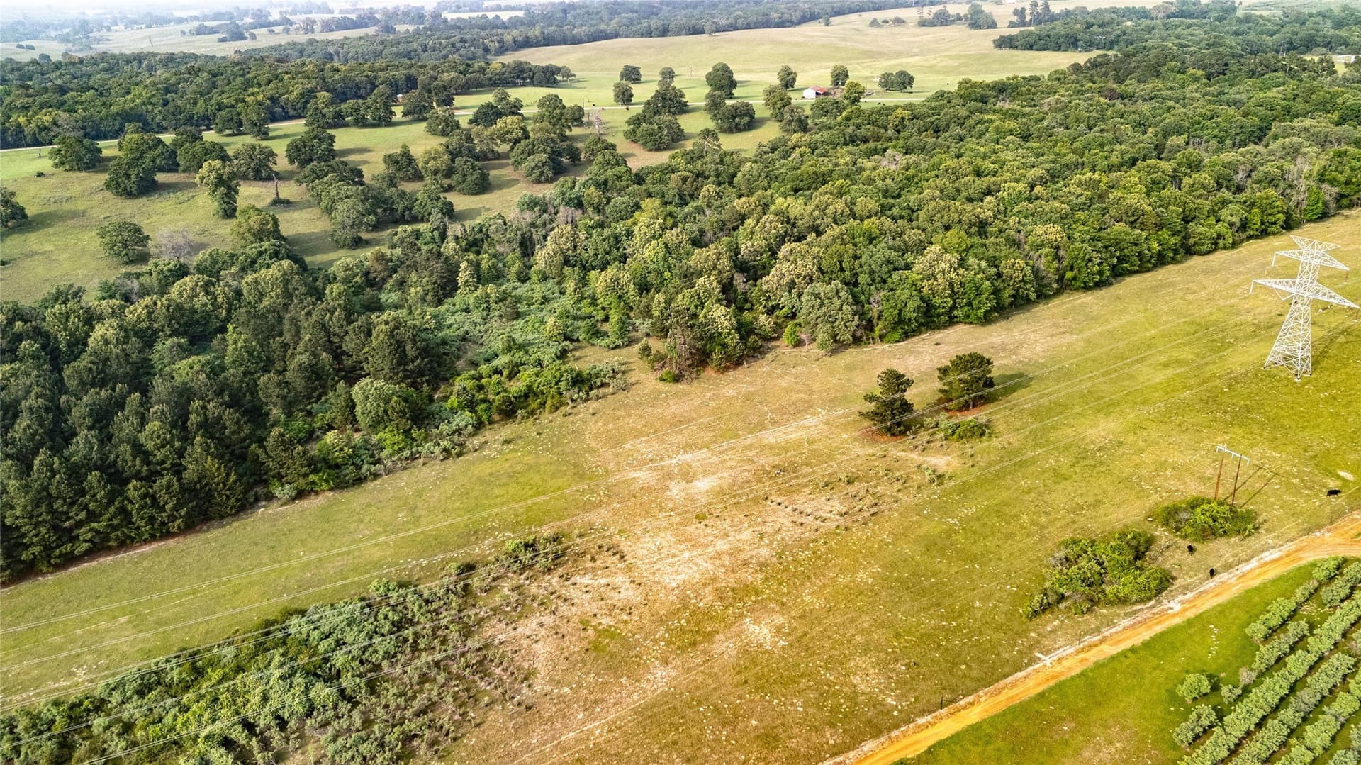 40 acres in Henderson County - photo 7