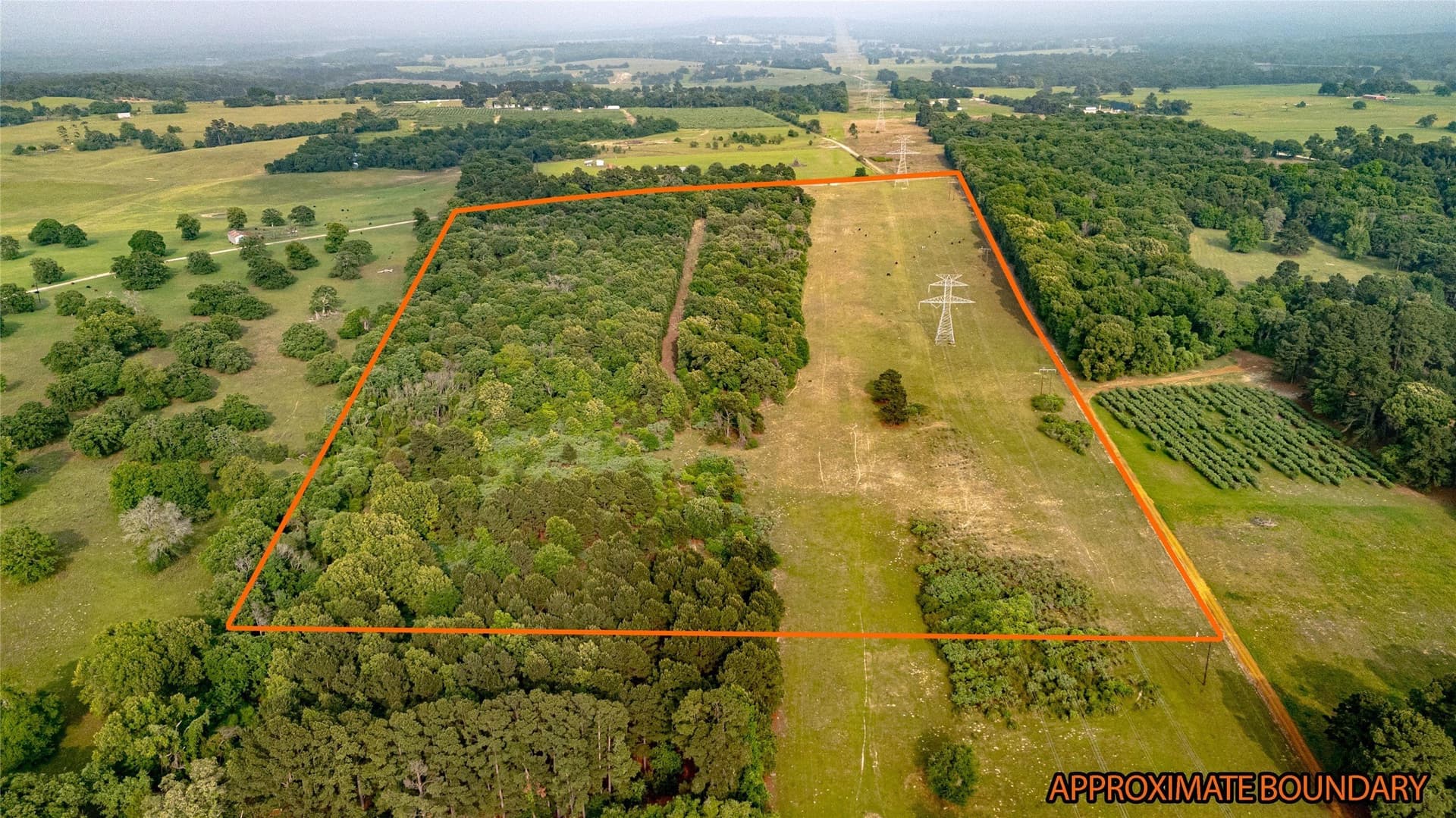 40 acres in Henderson County - photo 6