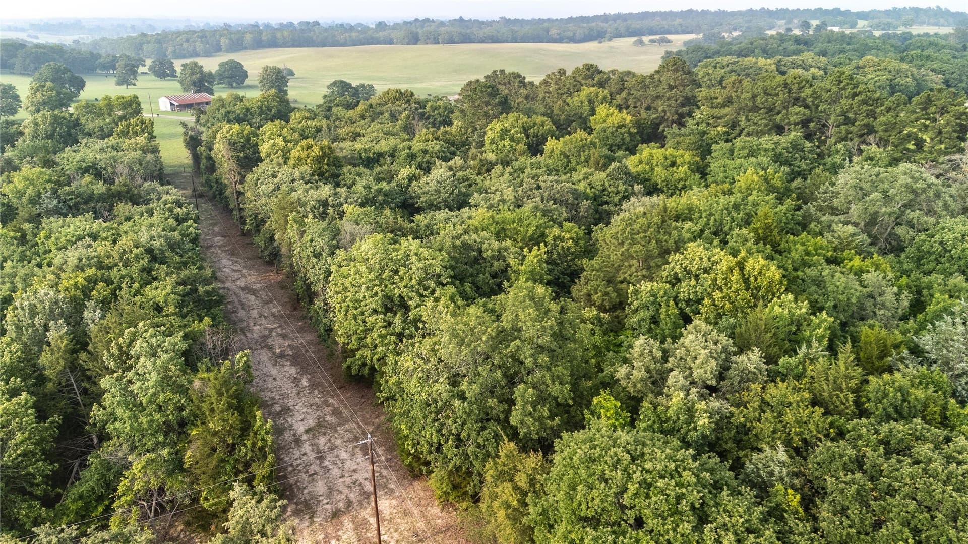 40 acres in Henderson County - photo 17