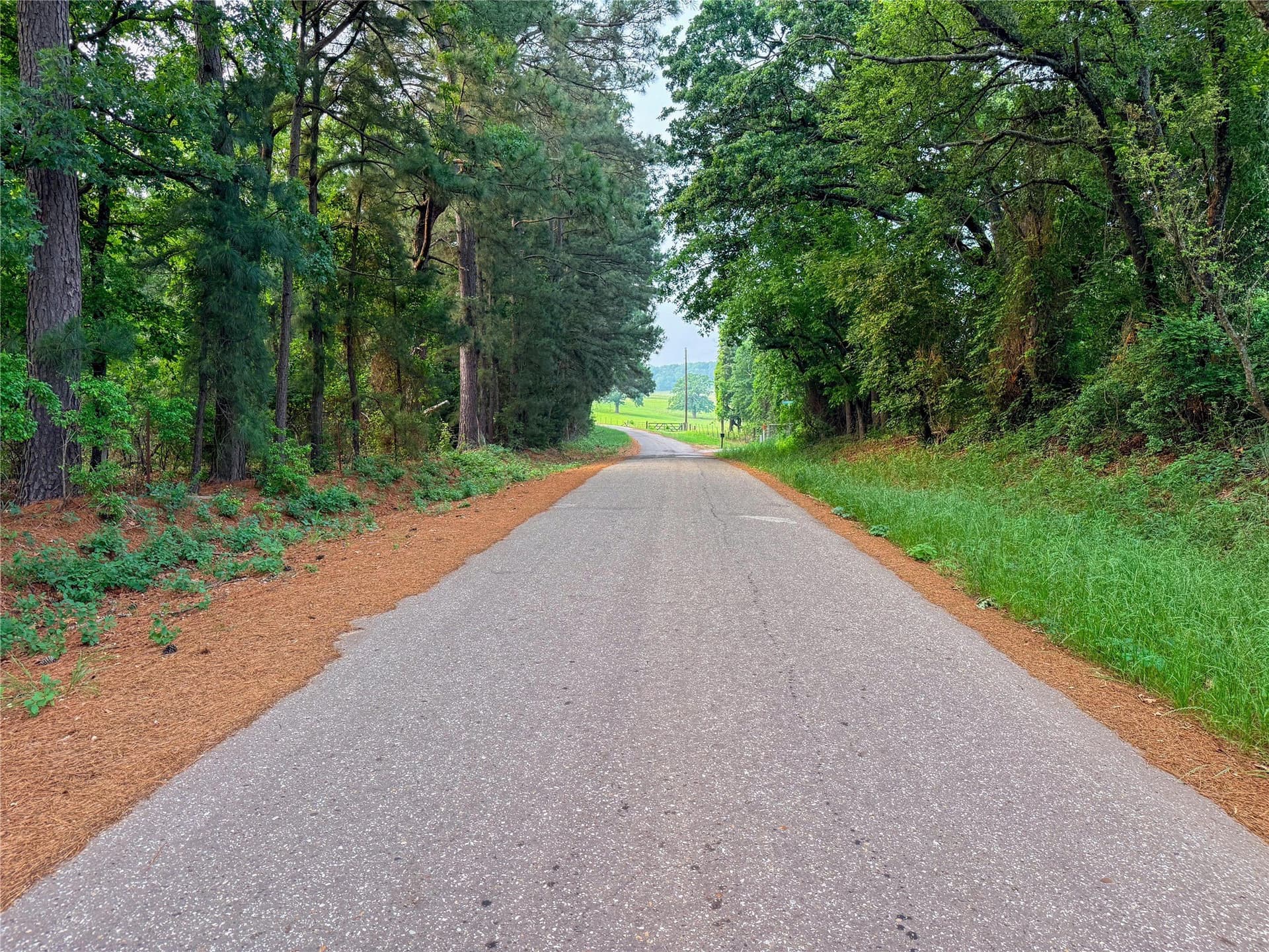 40 acres in Henderson County - photo 35