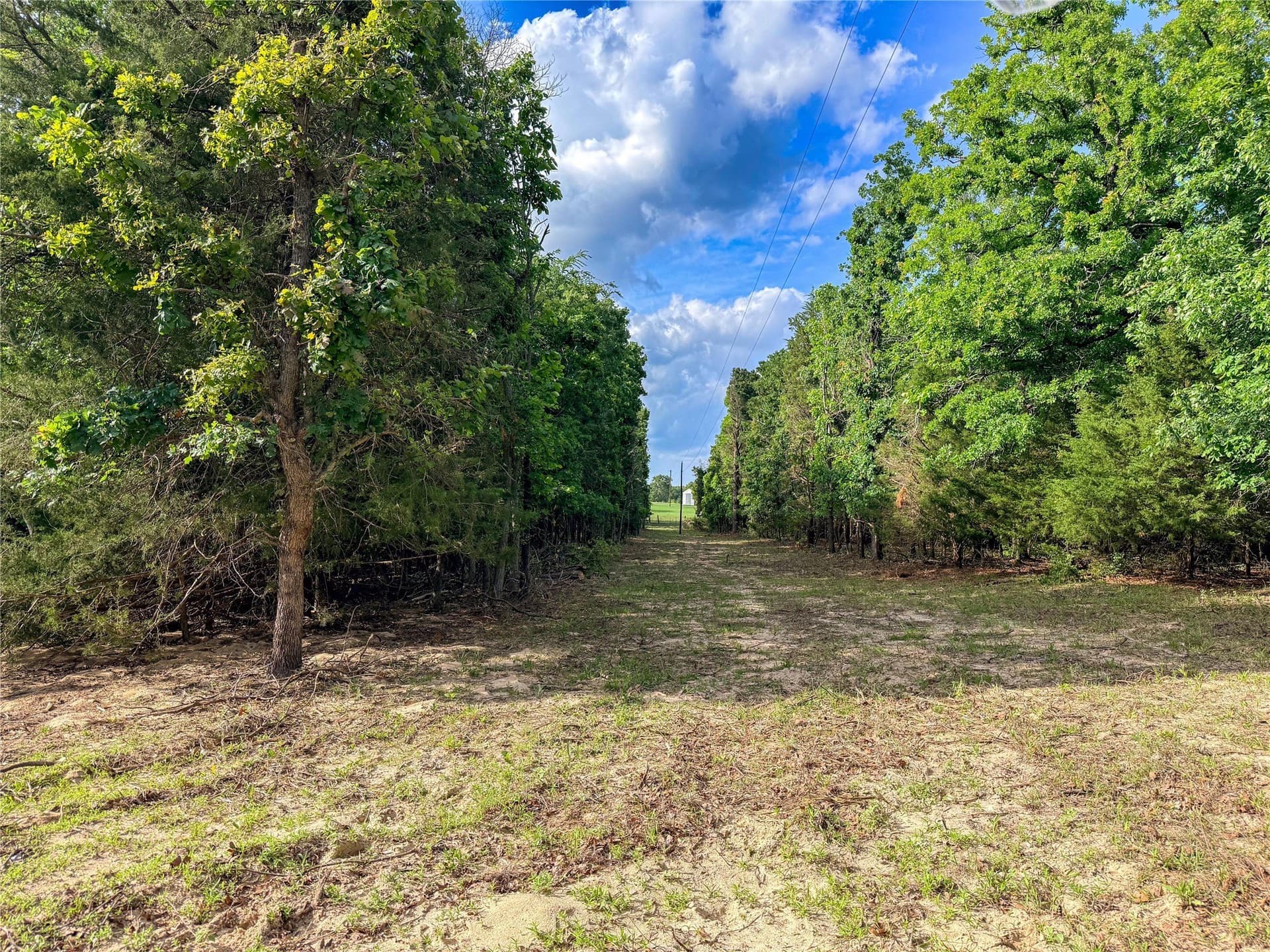 40 acres in Henderson County - photo 23