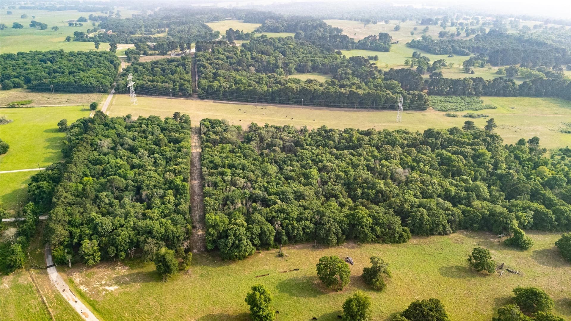 40 acres in Henderson County gallery image 3