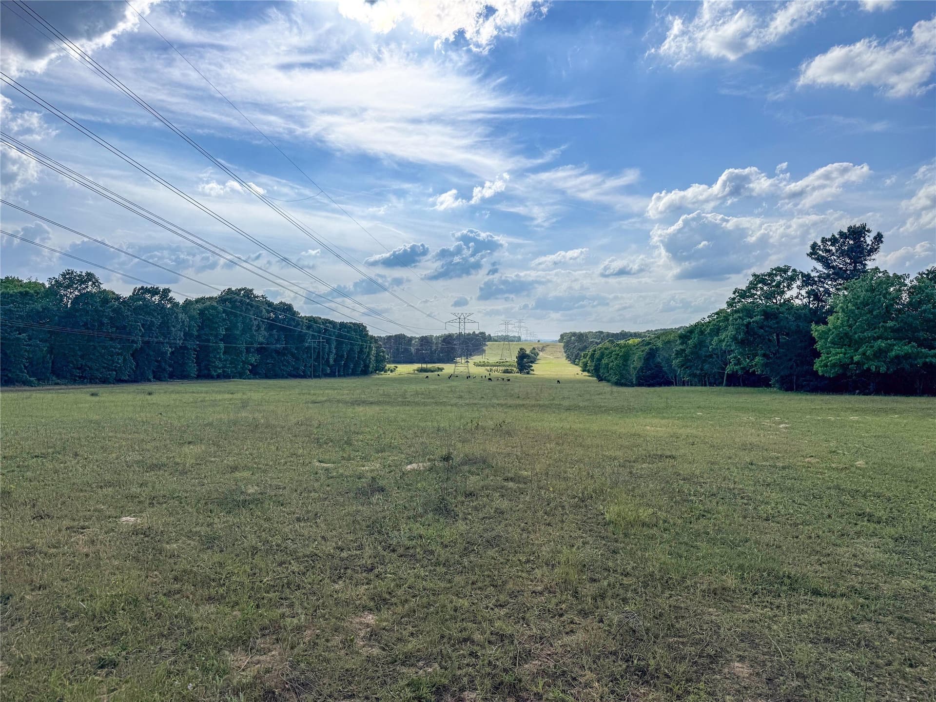 40 acres in Henderson County - photo 24
