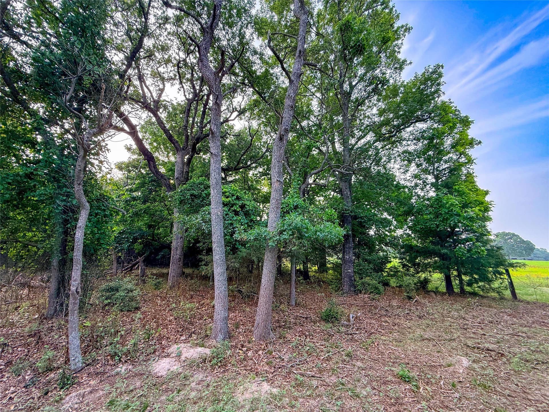 40 acres in Henderson County - photo 32